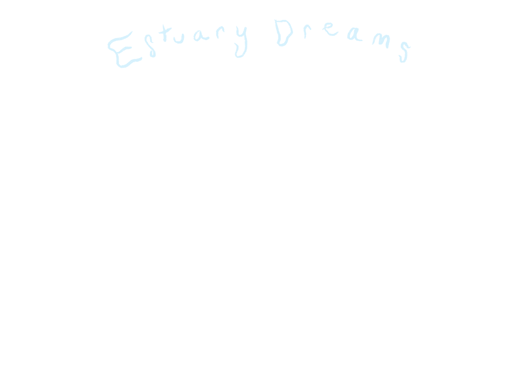 Estuary Dreams